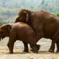 Top 5 Places You Need to Visit in Thailand